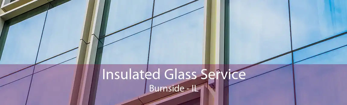 Insulated Glass Service Burnside - IL