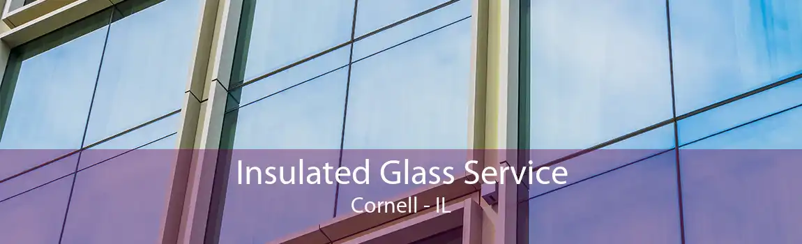 Insulated Glass Service Cornell - IL