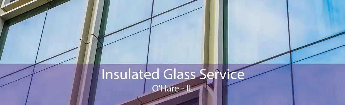 Insulated Glass Service O'Hare - IL