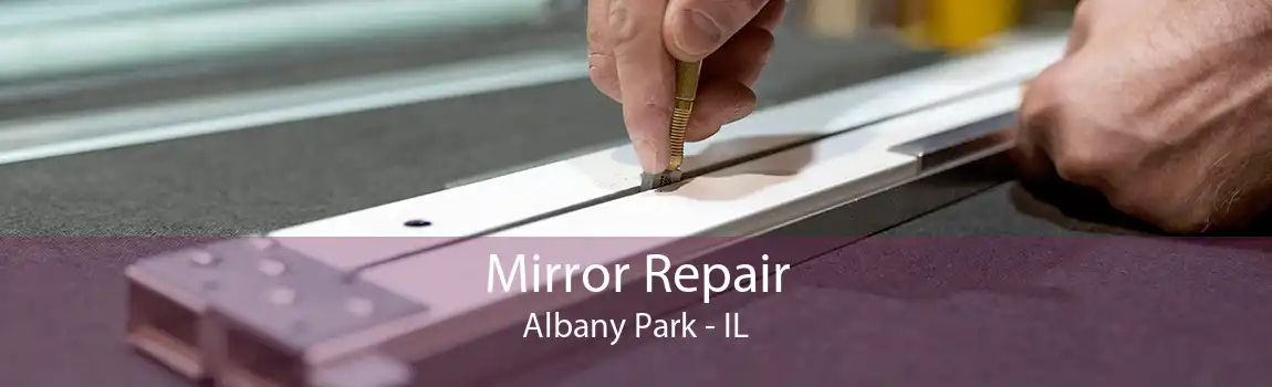 Mirror Repair Albany Park - IL