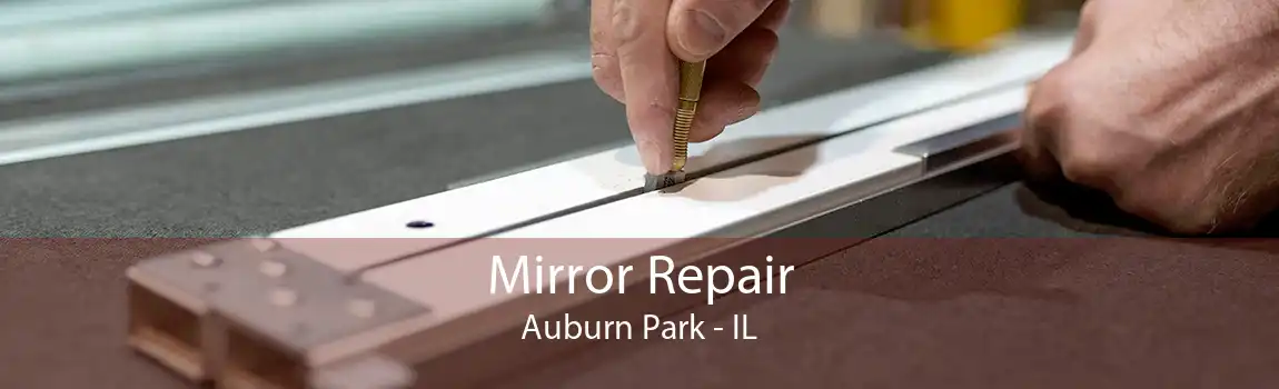 Mirror Repair Auburn Park - IL