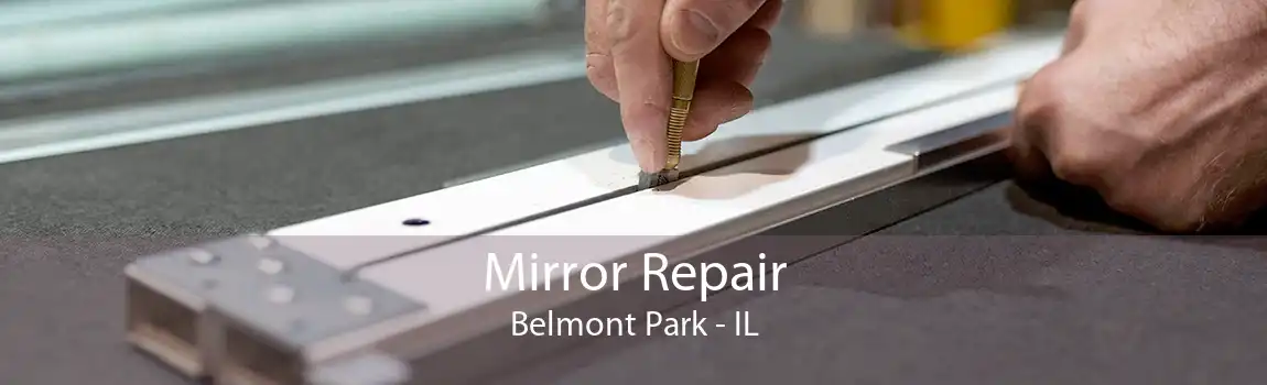 Mirror Repair Belmont Park - IL