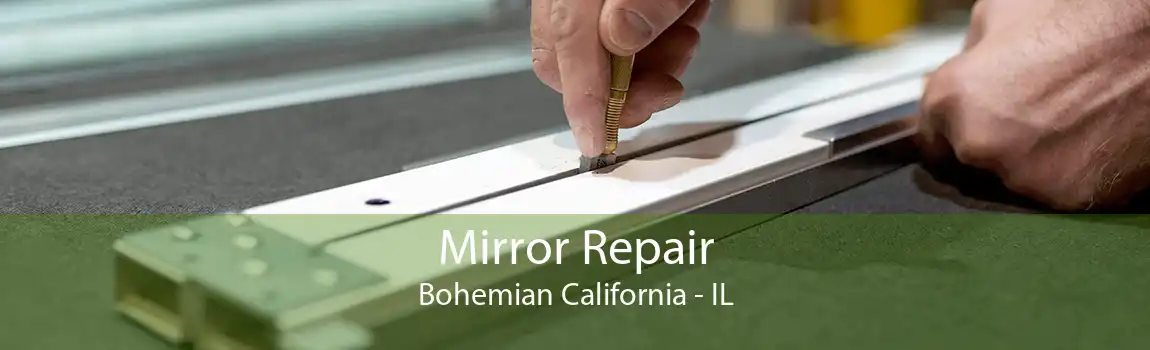 Mirror Repair Bohemian California - IL