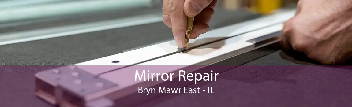 Mirror Repair Bryn Mawr East - IL