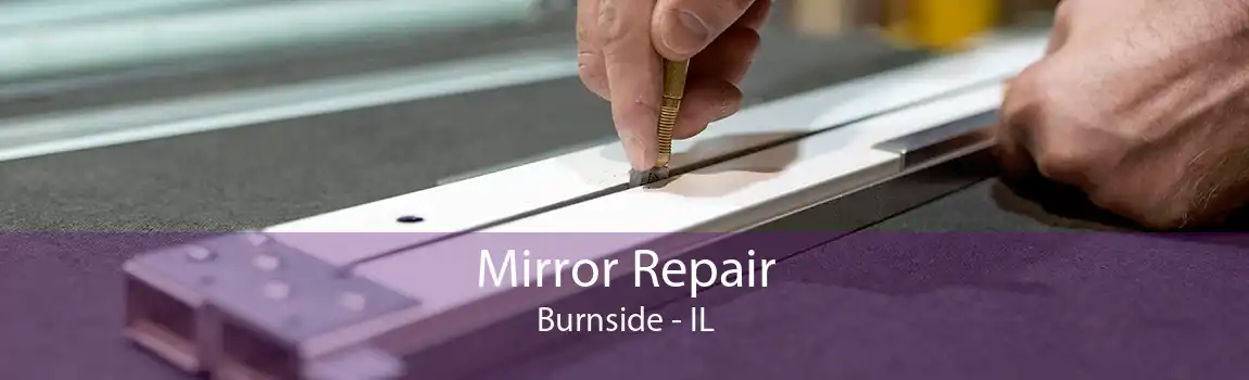 Mirror Repair Burnside - IL