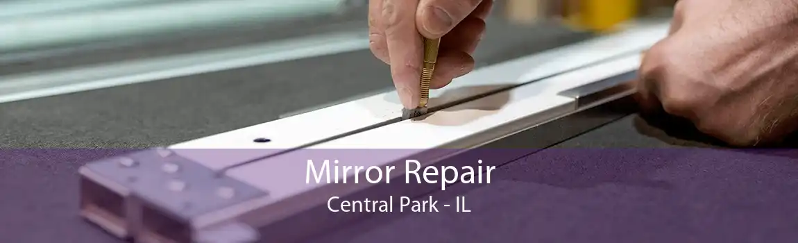 Mirror Repair Central Park - IL