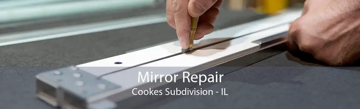 Mirror Repair Cookes Subdivision - IL