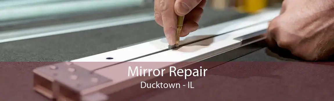 Mirror Repair Ducktown - IL