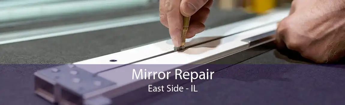 Mirror Repair East Side - IL