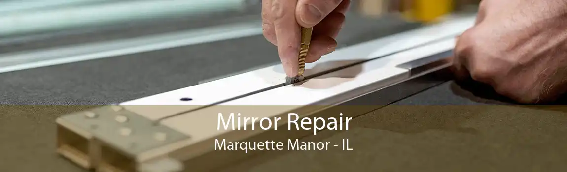 Mirror Repair Marquette Manor - IL