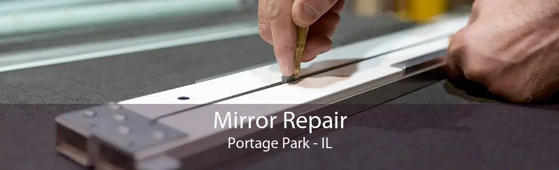 Mirror Repair Portage Park - IL