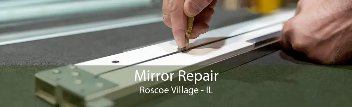 Mirror Repair Roscoe Village - IL