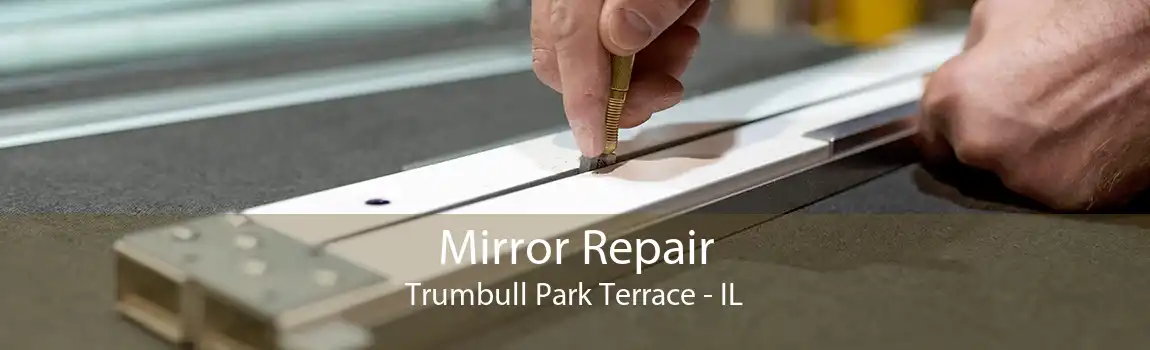 Mirror Repair Trumbull Park Terrace - IL