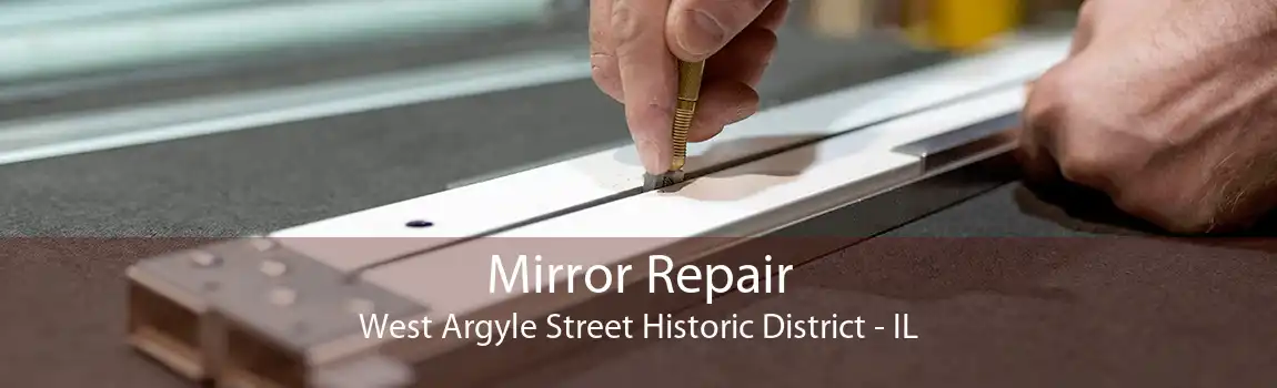 Mirror Repair West Argyle Street Historic District - IL