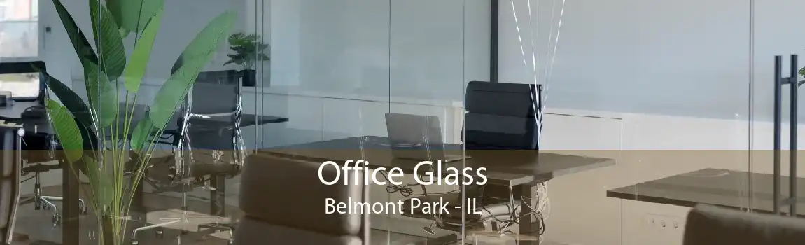 Office Glass Belmont Park - IL