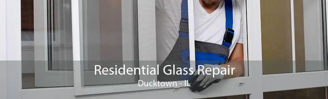 Residential Glass Repair Ducktown - IL