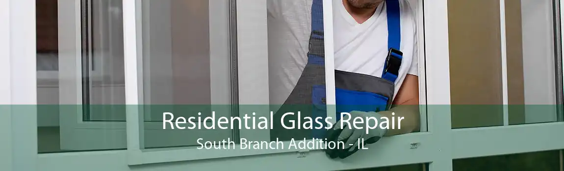 Residential Glass Repair South Branch Addition - IL