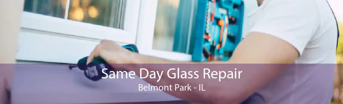 Same Day Glass Repair Belmont Park - IL