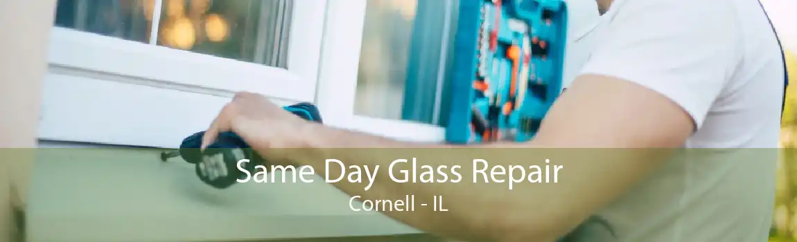 Same Day Glass Repair Cornell - IL