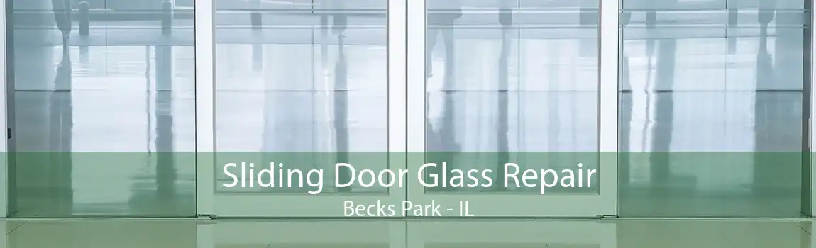 Sliding Door Glass Repair Becks Park - IL