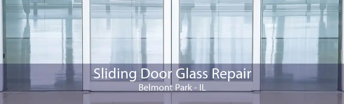 Sliding Door Glass Repair Belmont Park - IL