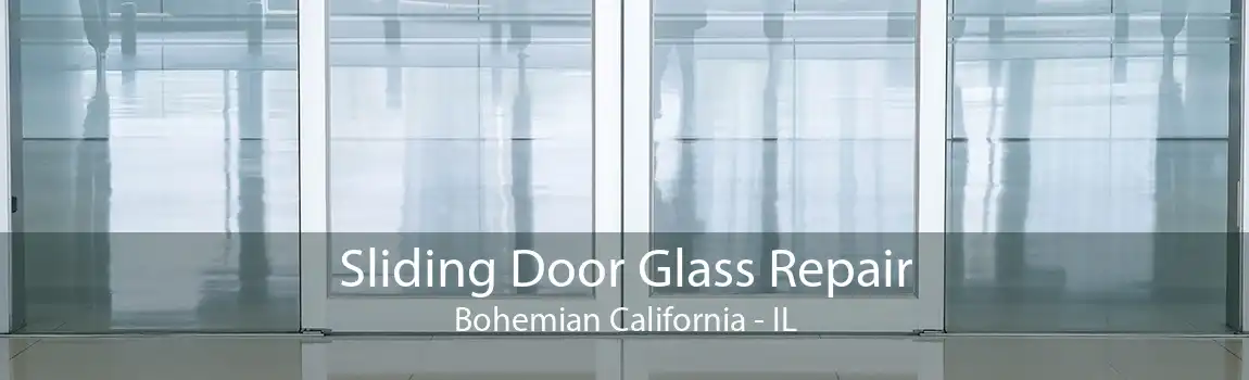 Sliding Door Glass Repair Bohemian California - IL