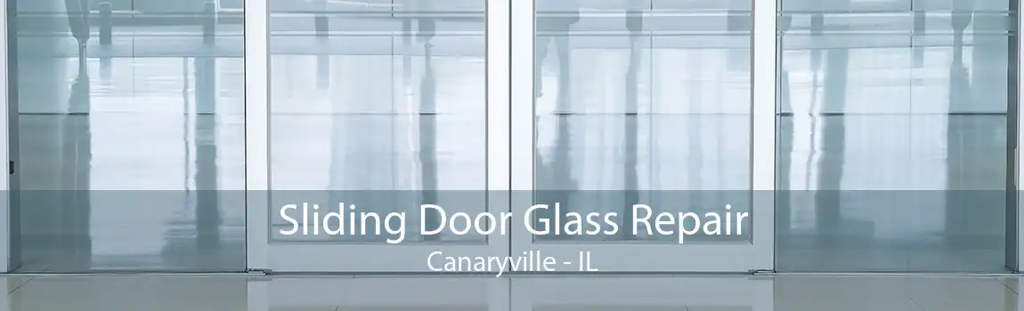 Sliding Door Glass Repair Canaryville - IL