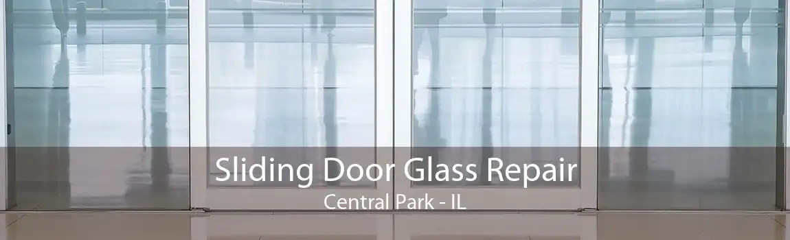 Sliding Door Glass Repair Central Park - IL