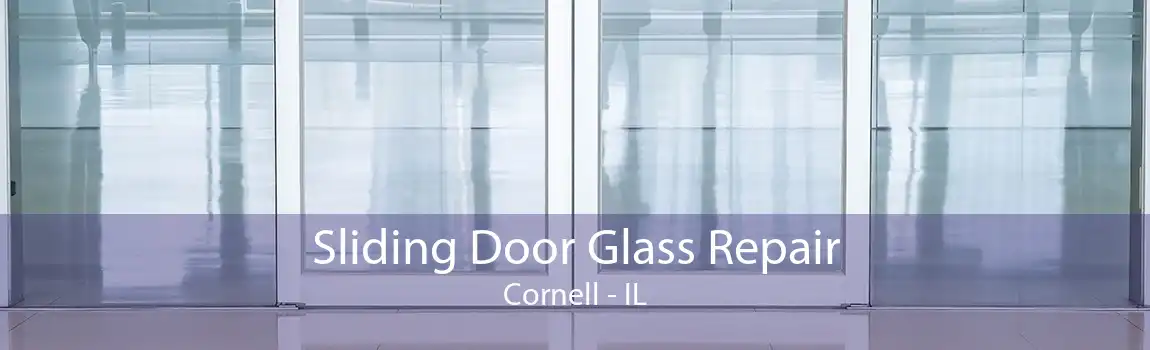 Sliding Door Glass Repair Cornell - IL