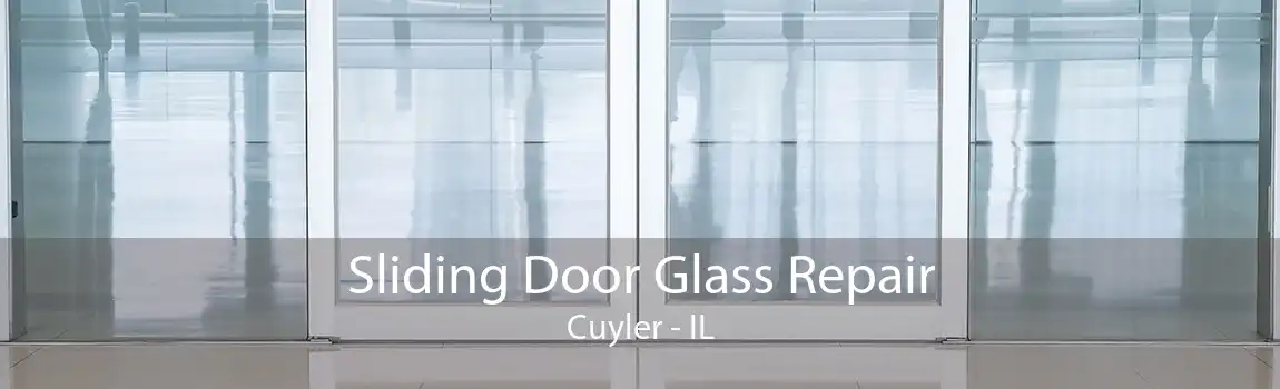 Sliding Door Glass Repair Cuyler - IL