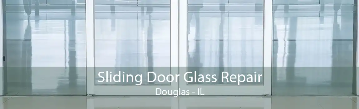 Sliding Door Glass Repair Douglas - IL