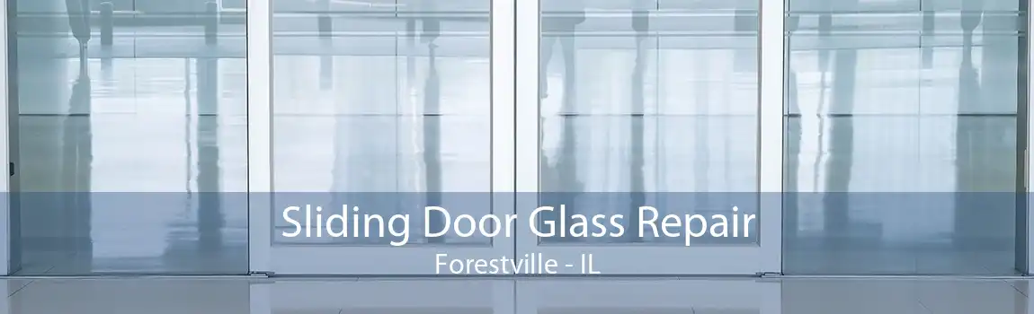 Sliding Door Glass Repair Forestville - IL