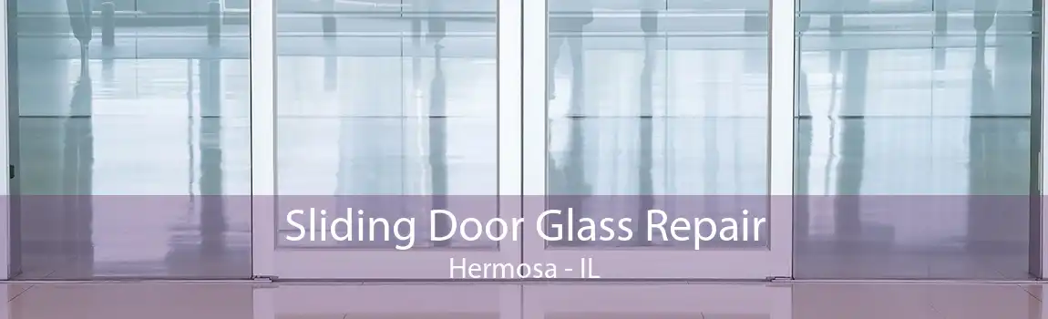 Sliding Door Glass Repair Hermosa - IL