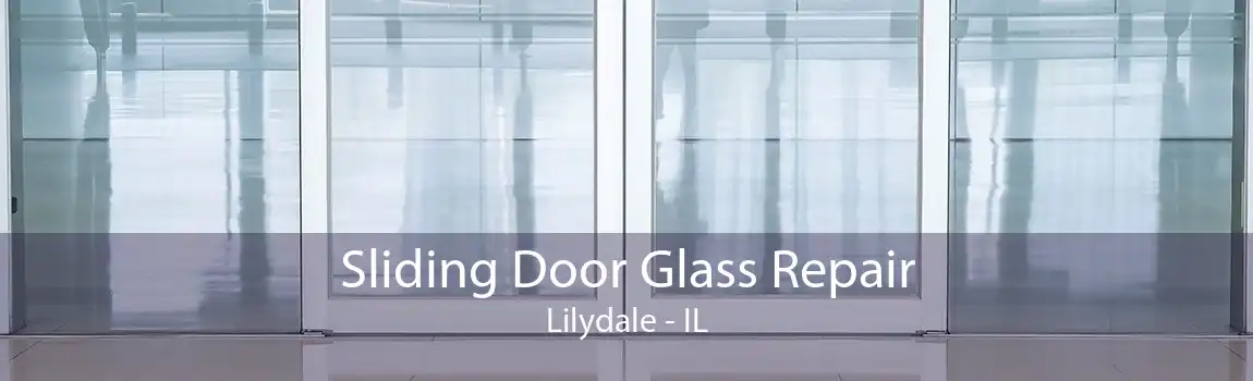 Sliding Door Glass Repair Lilydale - IL