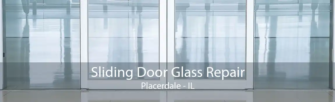 Sliding Door Glass Repair Placerdale - IL