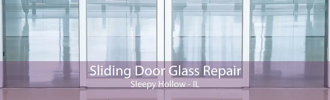 Sliding Door Glass Repair Sleepy Hollow - IL