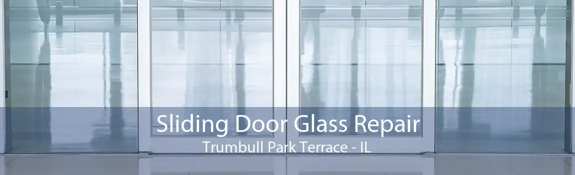 Sliding Door Glass Repair Trumbull Park Terrace - IL