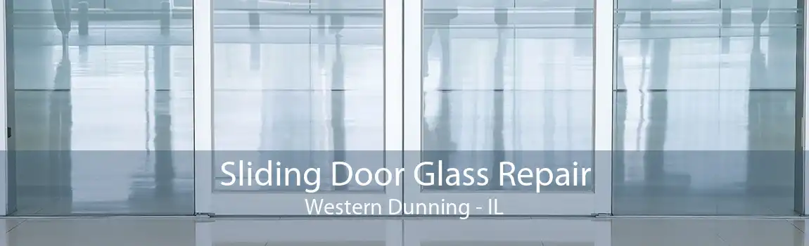 Sliding Door Glass Repair Western Dunning - IL