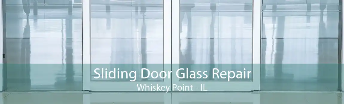 Sliding Door Glass Repair Whiskey Point - IL