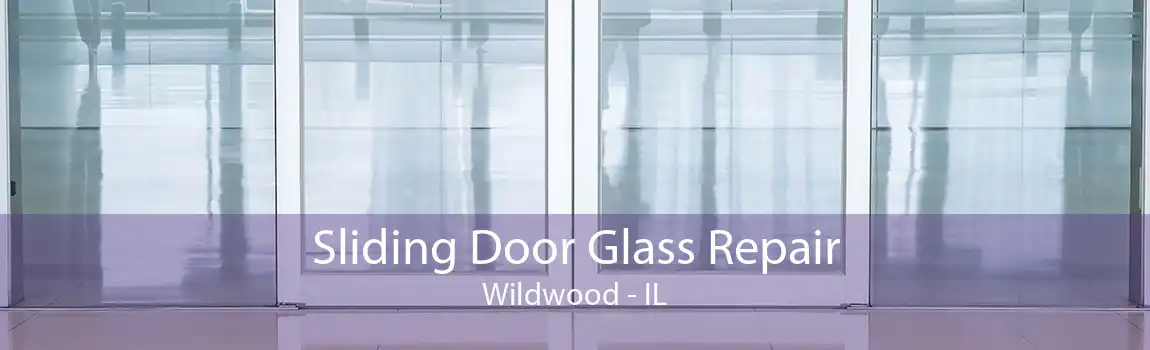 Sliding Door Glass Repair Wildwood - IL