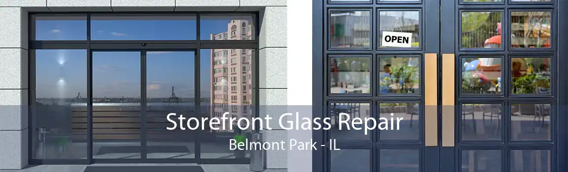 Storefront Glass Repair Belmont Park - IL