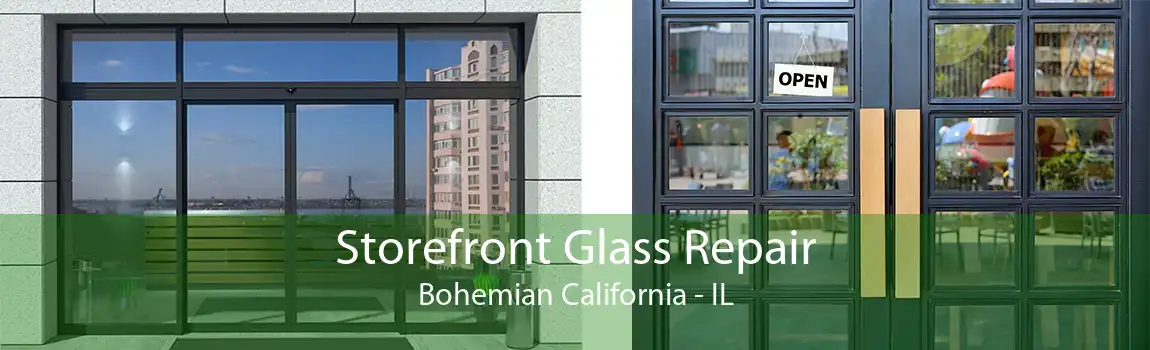 Storefront Glass Repair Bohemian California - IL