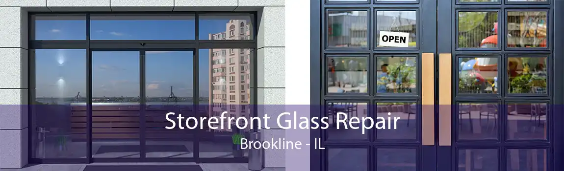 Storefront Glass Repair Brookline - IL