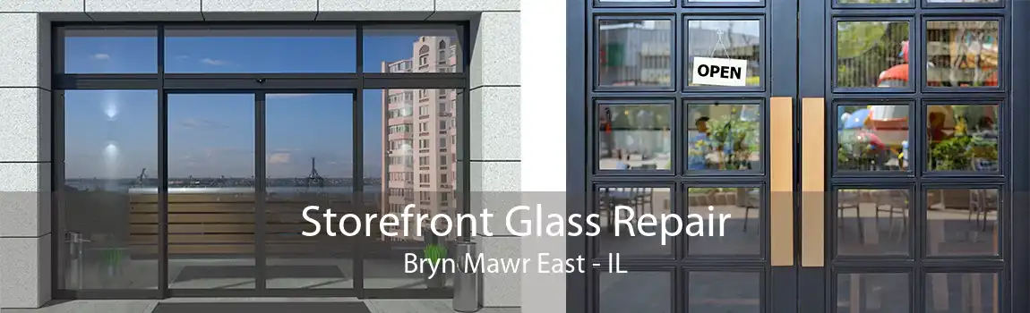 Storefront Glass Repair Bryn Mawr East - IL