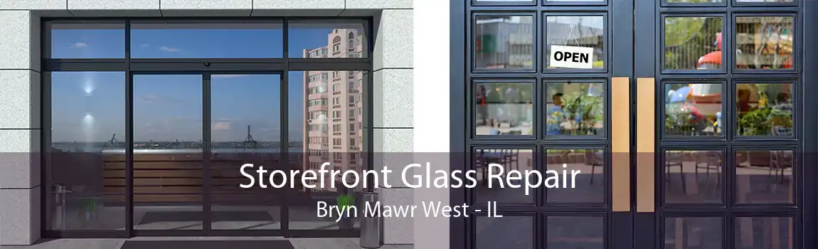 Storefront Glass Repair Bryn Mawr West - IL