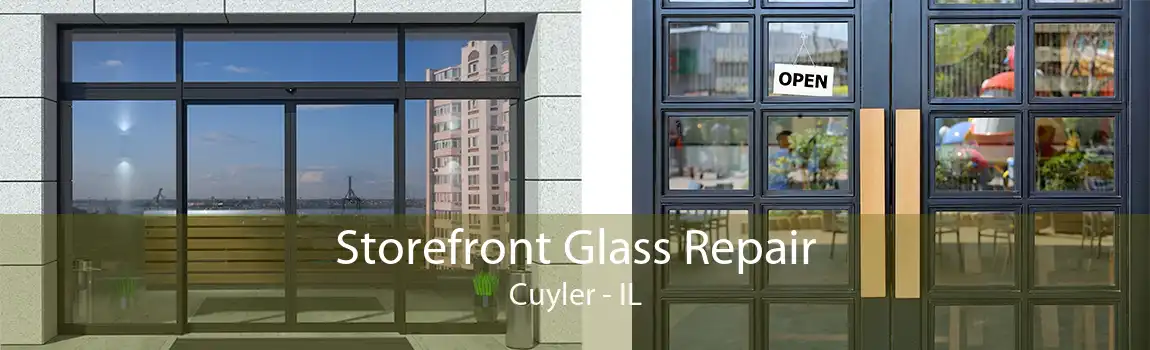 Storefront Glass Repair Cuyler - IL