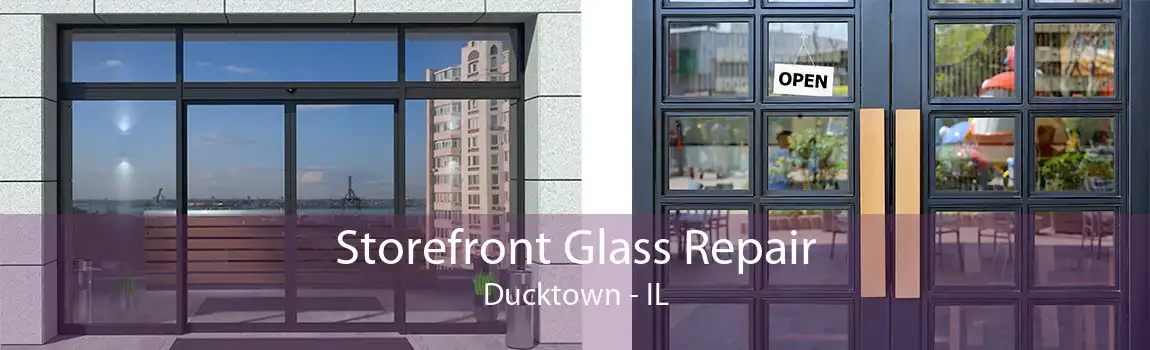 Storefront Glass Repair Ducktown - IL