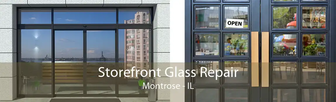 Storefront Glass Repair Montrose - IL