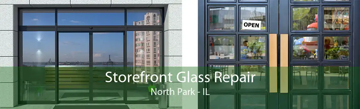 Storefront Glass Repair North Park - IL