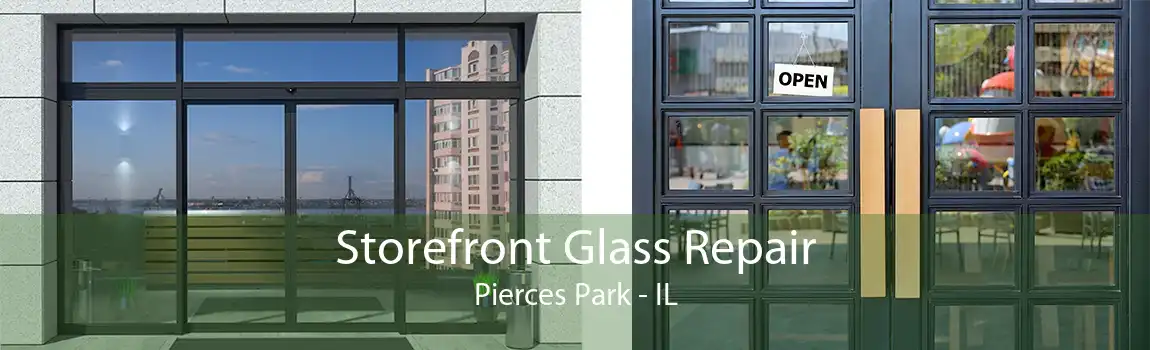 Storefront Glass Repair Pierces Park - IL